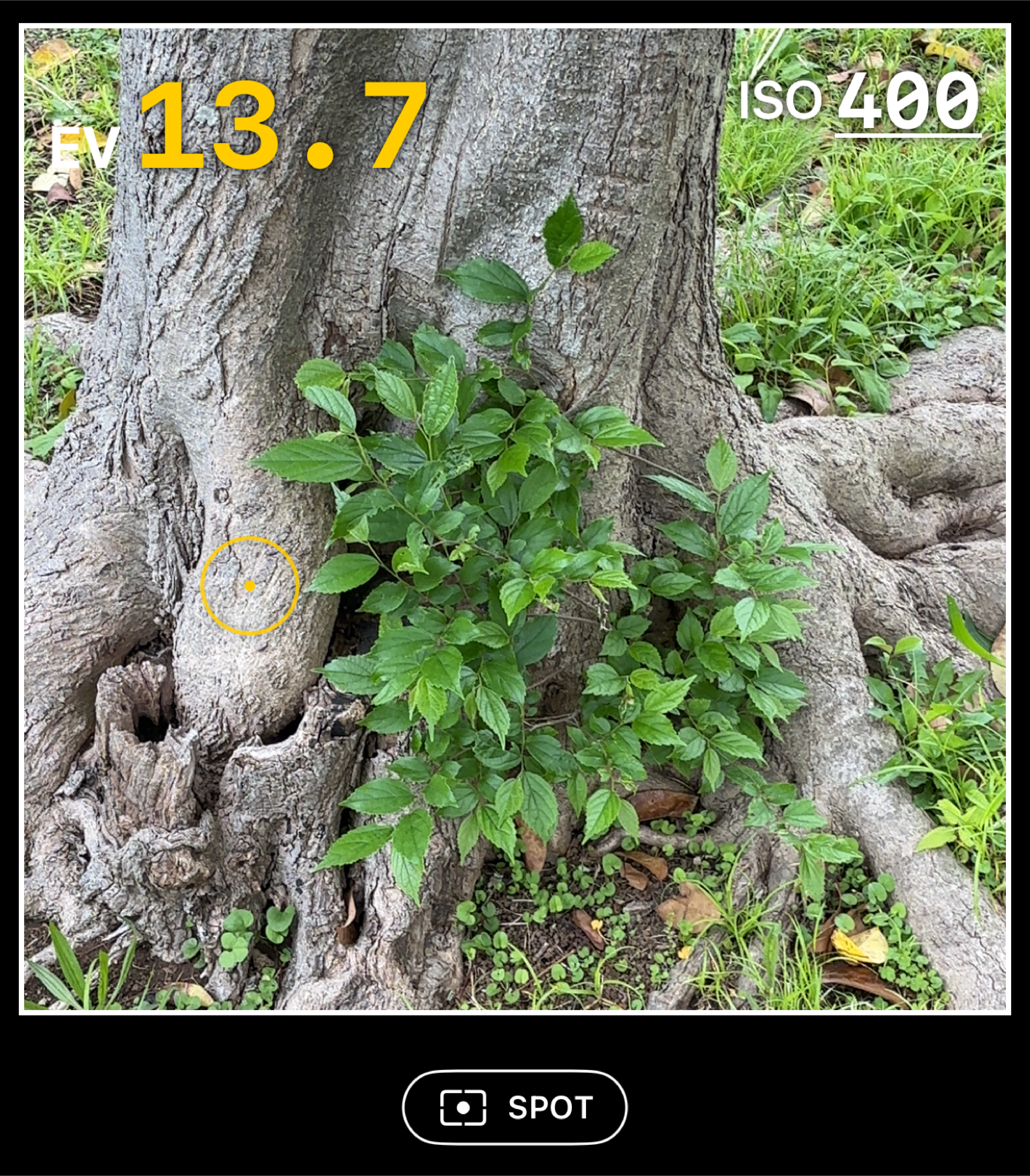 Spot meter anywhere
