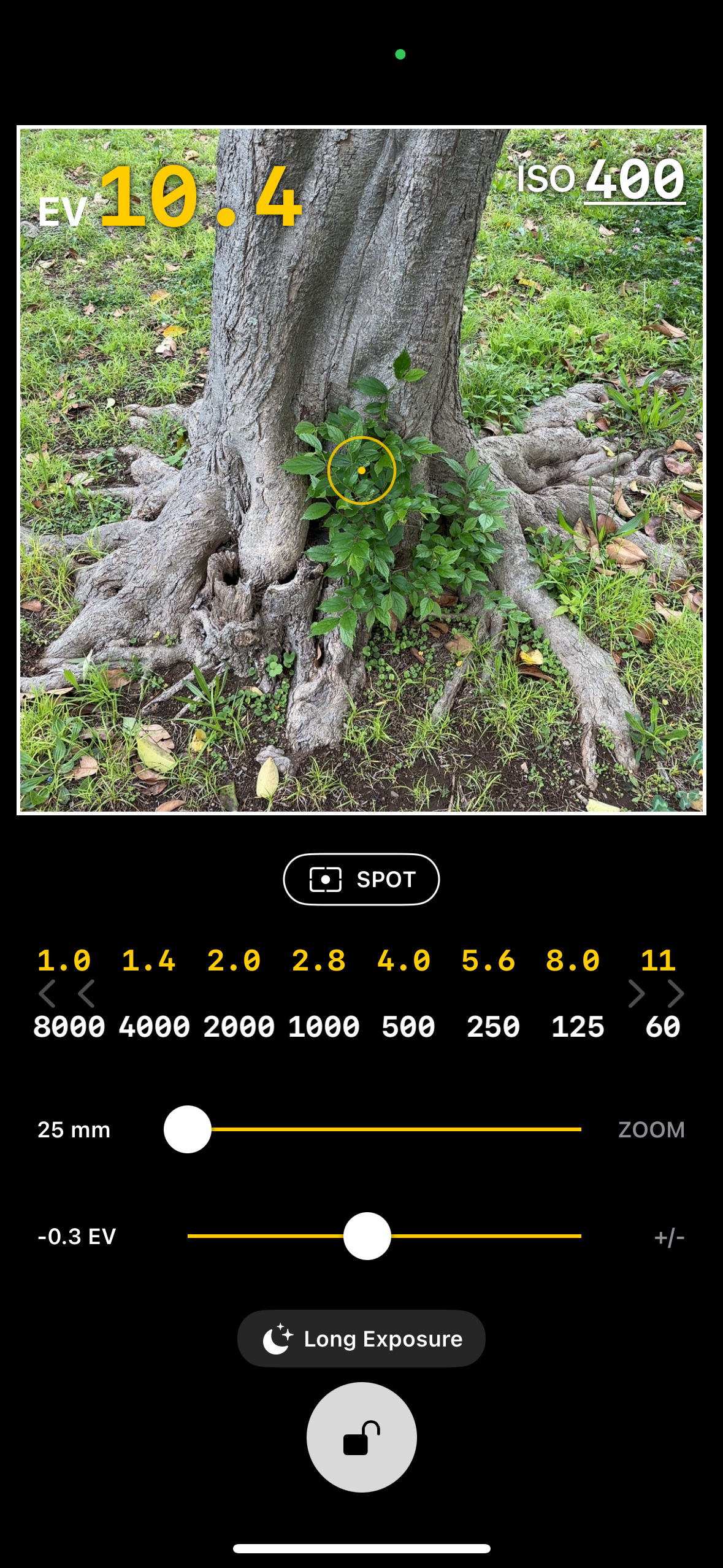 Spot metering mode